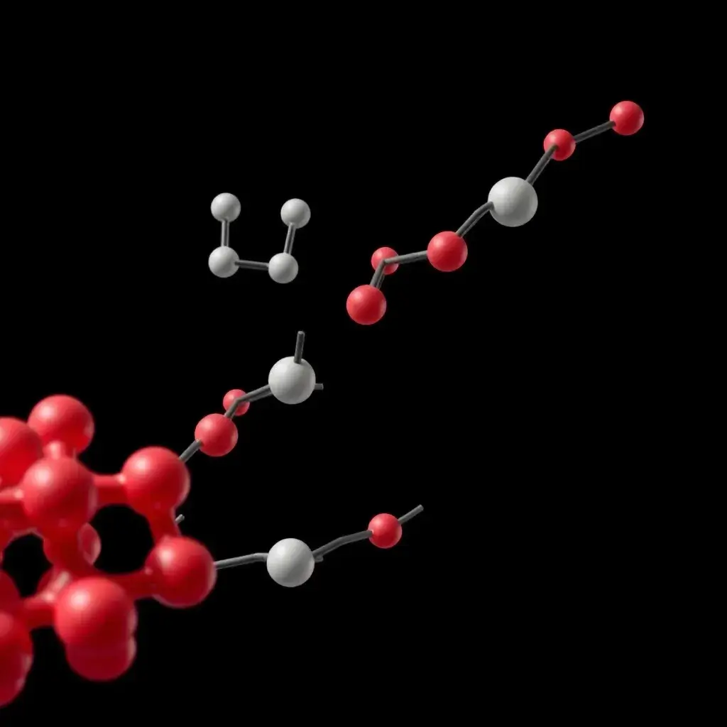 Protein & Nucleic Acid Interactions